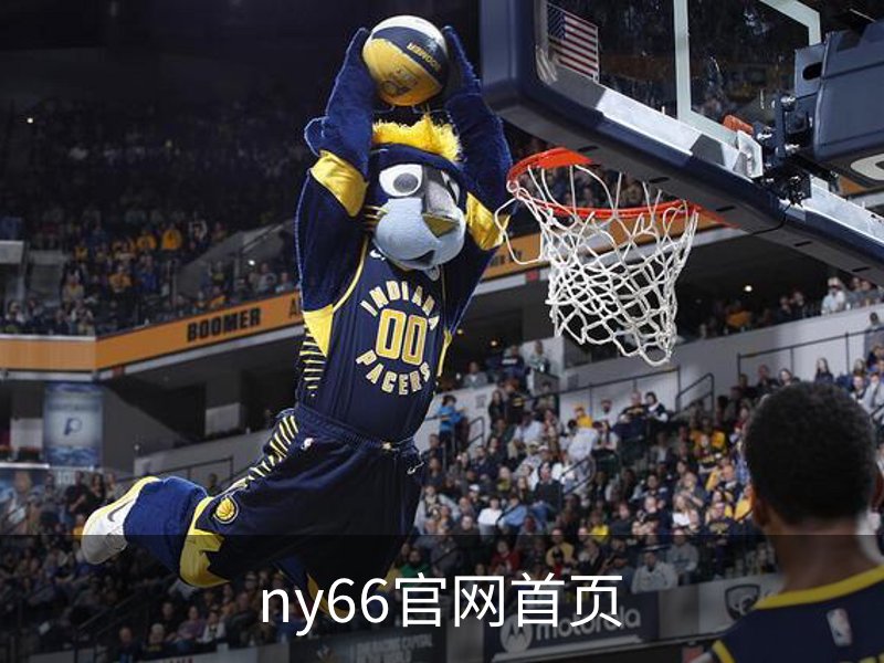 ny66官网首页概况